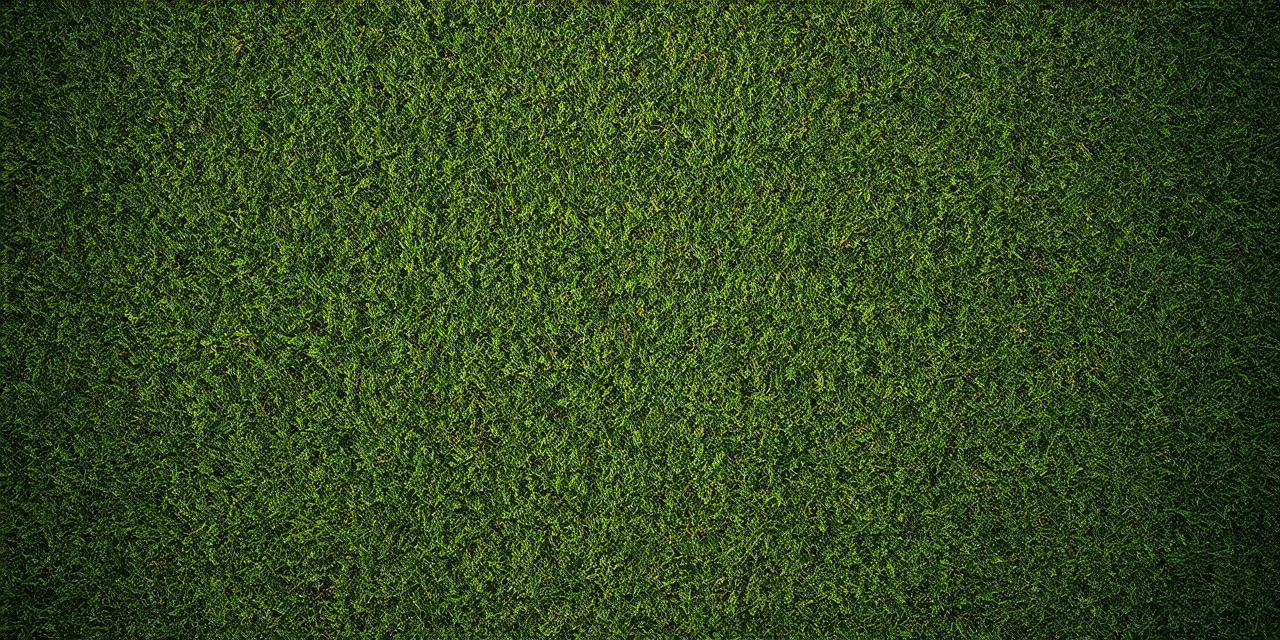 Get Free 3D Unity Grass Texture for Your Project